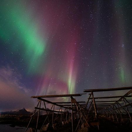 בלסטאד Fish Factory -The Real Lofoten Experience מראה חיצוני תמונה